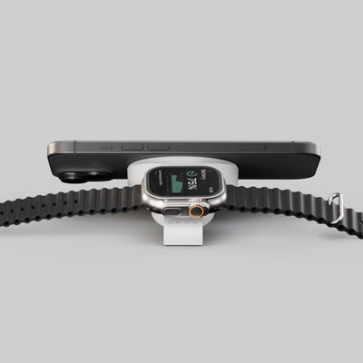 Travel Charger Pro 2