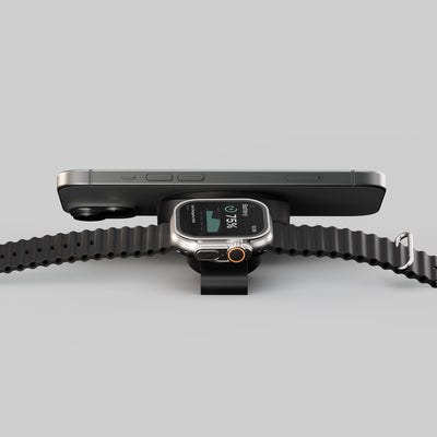 Travel Charger Pro 2