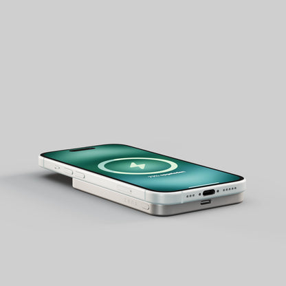 Powerbank Pro 1