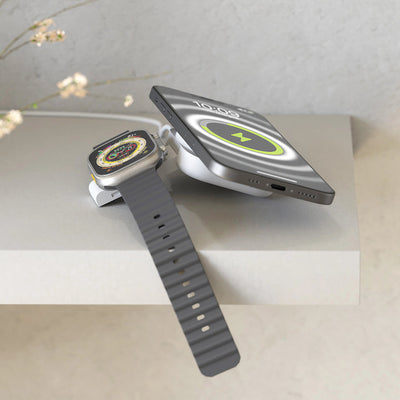 Travel Charger Pro 2